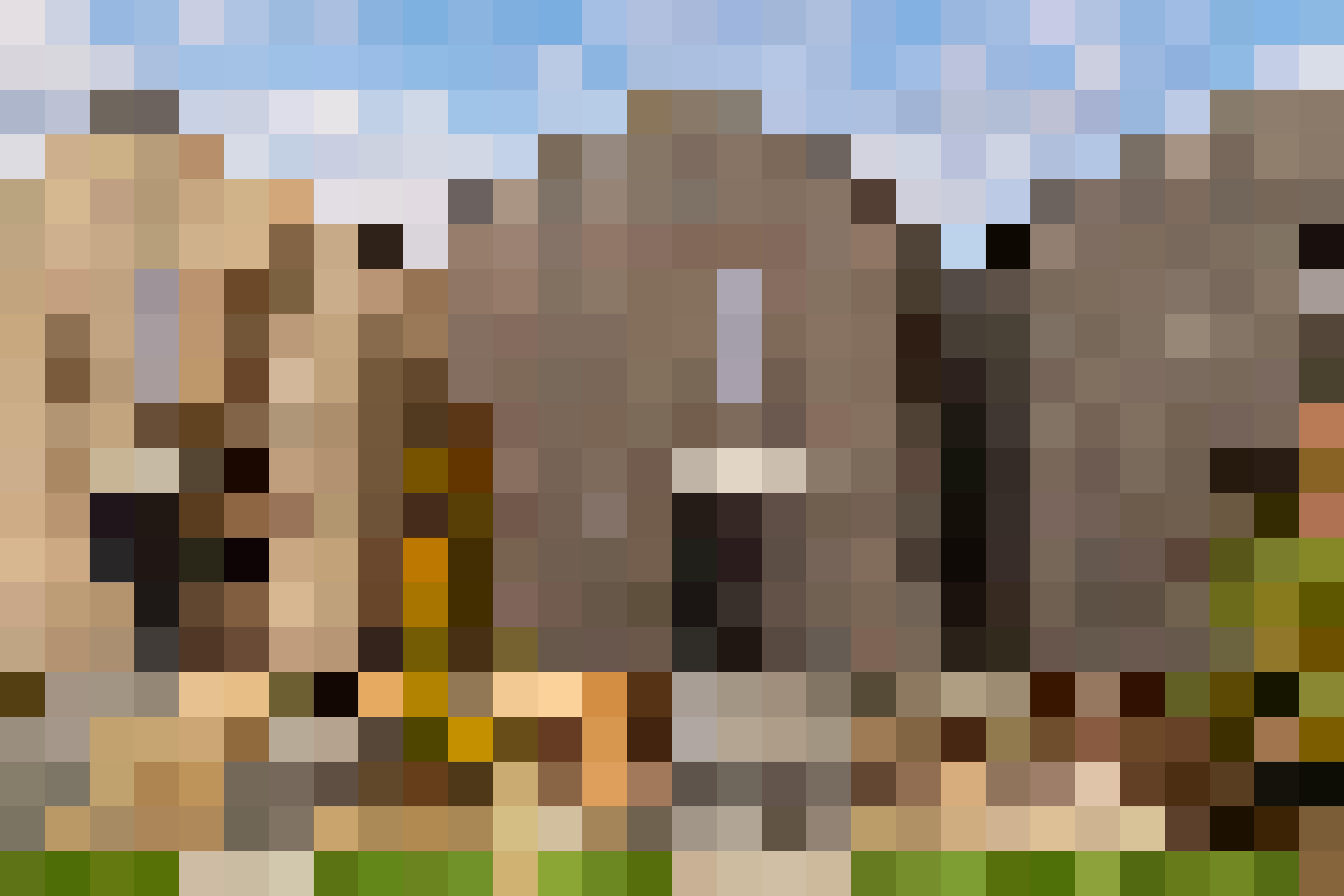 L22 SD IMAGEWORKS 22
