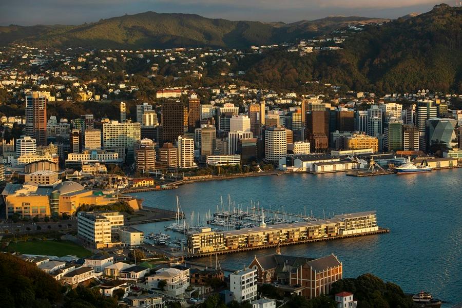 Generic photo of wellington